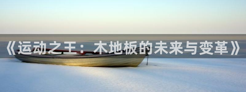 MK体育官网下载平台假的吗是真的吗：《运动之王：木地