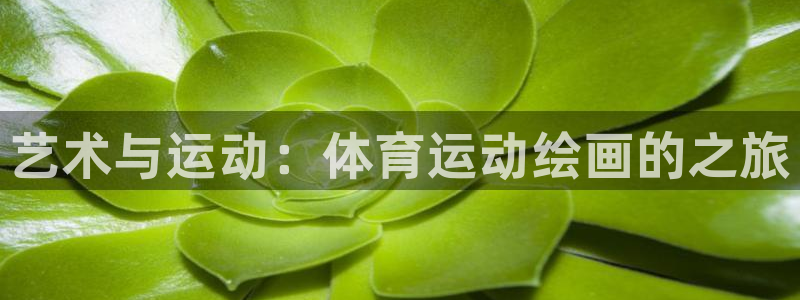 MK体育官网下载平台注册流程图：艺术与运动：体育运动