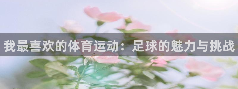 MK体育官方正版app开户：我最喜欢的体育运动：足球的魅力与