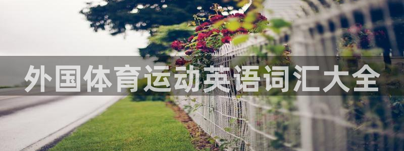 MK体育官网下载平台注册流程视频：外国体育运动英语词汇大全