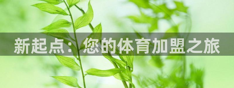 MK体育官方正版app科技：新起点：您的体育加盟之旅