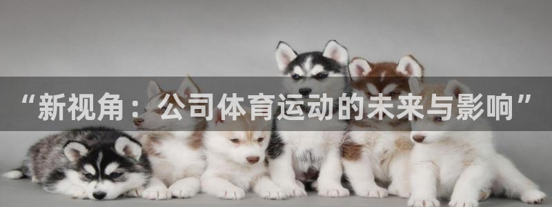 MK体育官网下载平台：“新视角：公司体育运动的未来与影响”