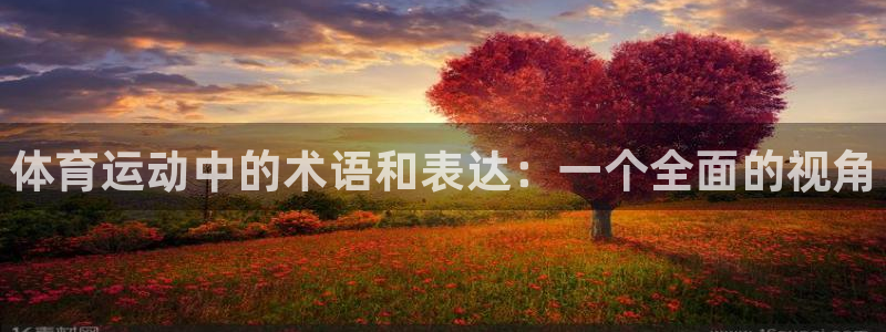 MK体育官网下载招商电话号码是多少：体育运动中的术语和表达：