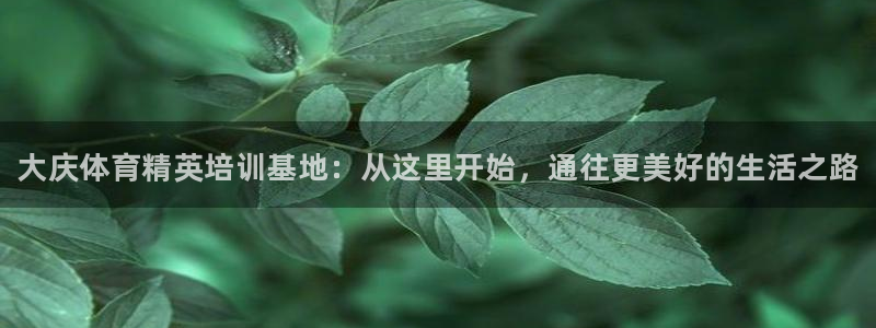 MK体育官网下载平台注册要钱吗安全吗：大庆体育精英培