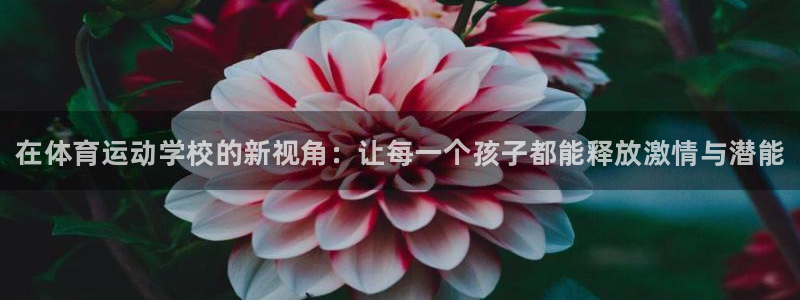 MK体育官方平台体育：在体育运动学校的新视角：让每一个孩子都