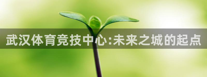 MK体育官方正版app娱乐是那个系列的台子：武汉体育竞技中心