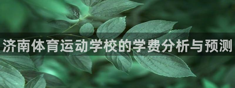 MK体育官方正版app集团