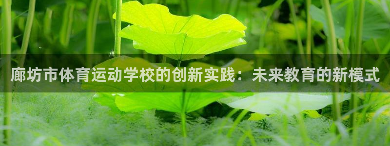 MK体育官网下载招商：廊坊市体育运动学校的创新实践：未来教育