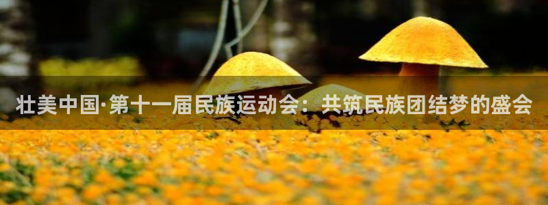 MK体育官方正版app娱乐首页网站大全：壮美中国·第十一届民