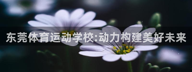 MK体育官网下载平台注册要钱吗：东莞体育运动学校:动