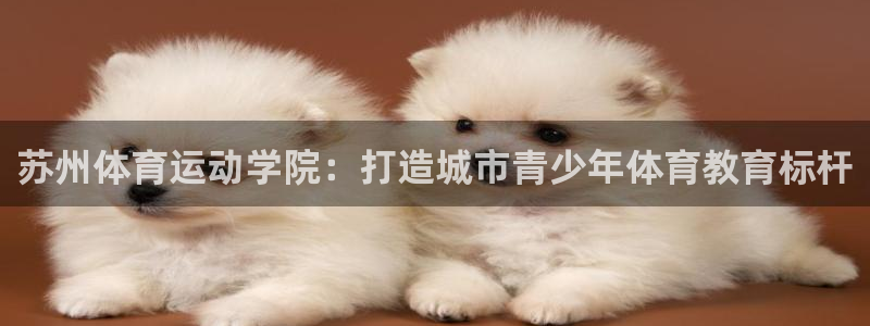 MK体育官网下载平台注册要钱吗安全吗：苏州体育运动学院：打造