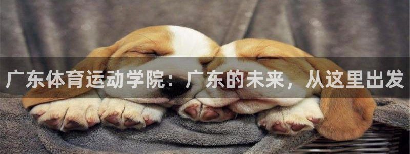 MK体育官方正版app五金厂：广东体育运动学院：广东的未来，