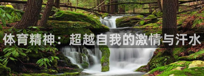 MK体育官方正版app娱乐40996：体育精神：超越