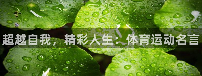 MK体育官方正版app娱乐40996：超越自我，精彩