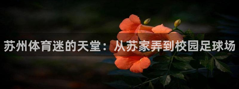 MK体育官方正版app官网：苏州体育迷的天堂：从苏家