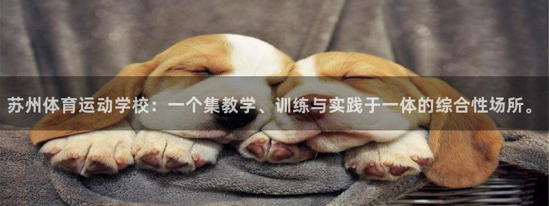 MK体育官方正版app娱乐代理怎么样：苏州体育运动学