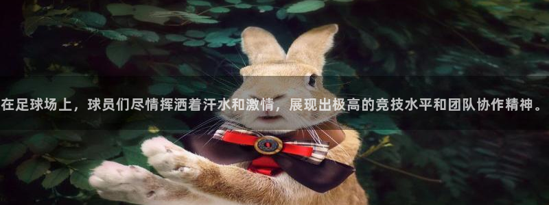 MK体育官方正版app神州：在足球场上，球员们尽情挥