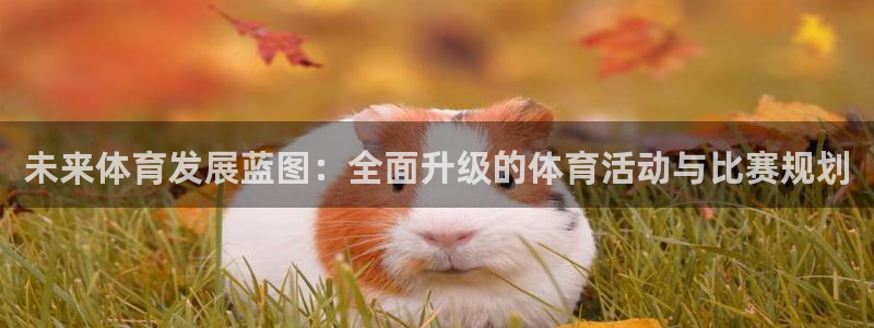MK体育官网下载招商：未来体育发展蓝图：全面升级的体育活动与
