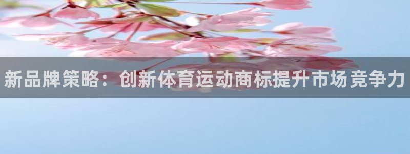 海南MK体育官网下载