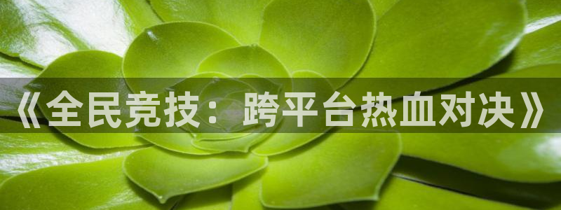 MK体育官方正版app集团官网首页网址