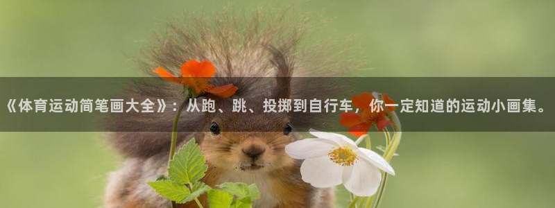 MK体育官方正版app神州：《体育运动简笔画大全》：从跑、跳