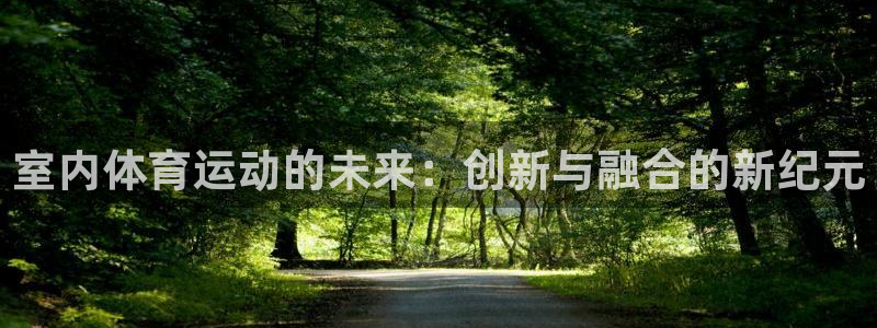 MK体育官方集团官网：室内体育运动的未来：创新与融合的新纪元