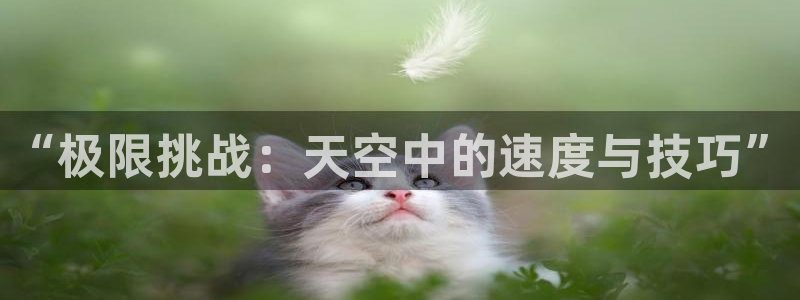 MK体育官网下载招商电话号码查询是多少：“极限挑战：天空中的