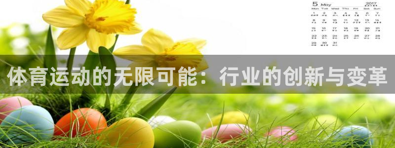 MK体育官网下载平台假的吗是真的吗：体育运动的无限可能：行业