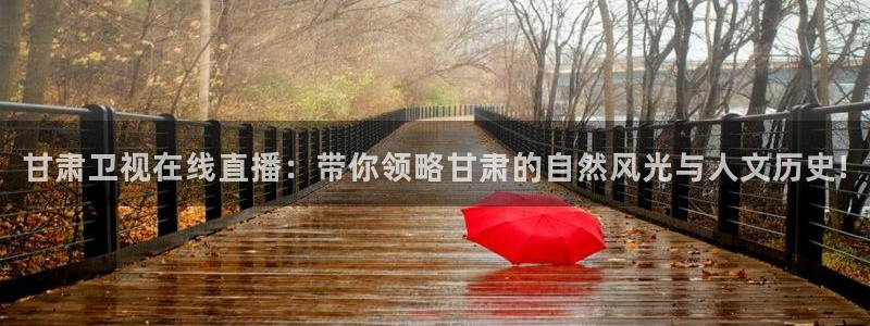88看球免费nba直播：甘肃卫视在线直播：带你领略甘肃的自然风光与人文历史!
